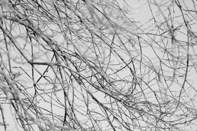 Péle mèle_4420605680_l.jpg